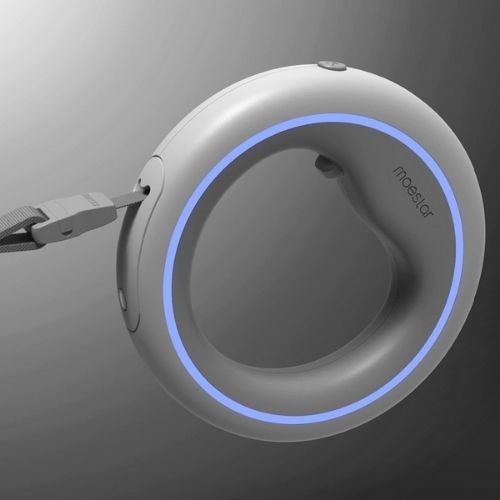 LED RING DOG LEASH