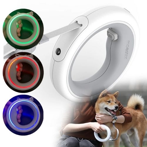LED RING DOG LEASH