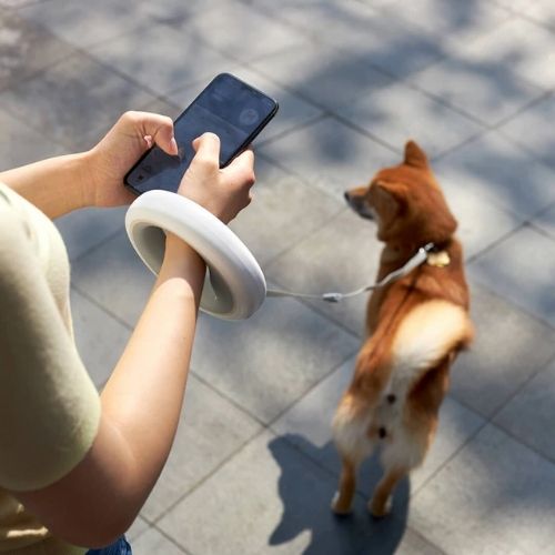 LED RING DOG LEASH